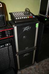 Kolumny Peavey Equipped BW